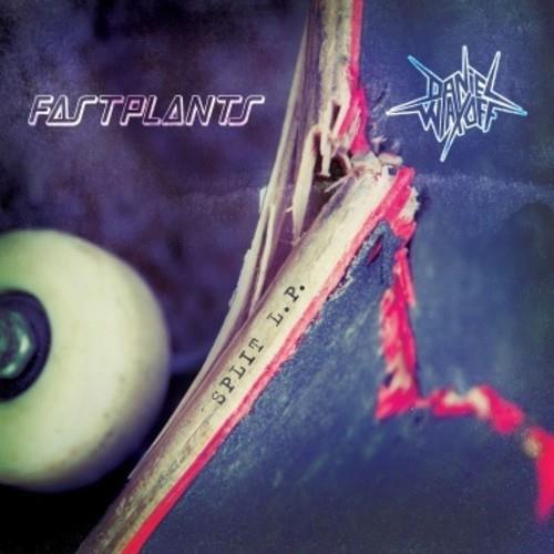 Split - Vinyl LP