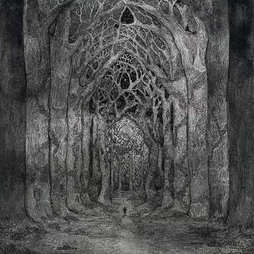 Within The Darkness Between The Starlight - Vinyl LP