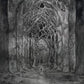 Within The Darkness Between The Starlight - Vinyl LP
