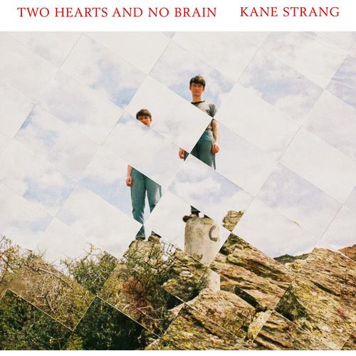 Two Hearts and No Brain - Vinyl LP (Red)