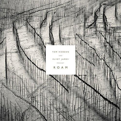 Present: Roam - Vinyl LP 180 Gram