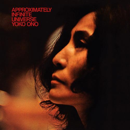 Approximately Infinite Universe - Vinyl LP