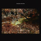 Green Stone - Vinyl LP (Red)