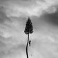 A Black Mile To The Surface - Vinyl LP