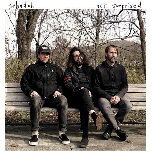Act Surprised - Vinyl LP