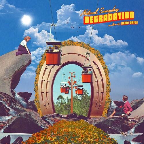 Natural Everyday Degradation - Vinyl LP