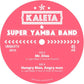 Mr. Diva / Hungry Man Angry Man - 7-Inch Single