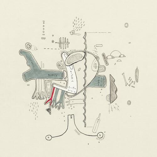 Tiny Changes: Celebration Of Frightened Rabbit's 'The Midnight OrganFight' - Vinyl LP