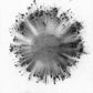 Obverse - Vinyl LP