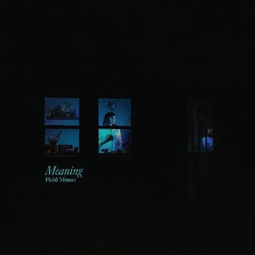 Meaning - Vinyl LP