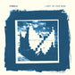 Light In Your Mind - Vinyl LP