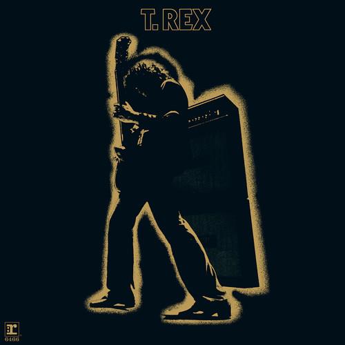 Electric Warrior - Vinyl LP