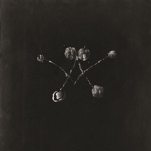 Nowhere Now - Vinyl LP