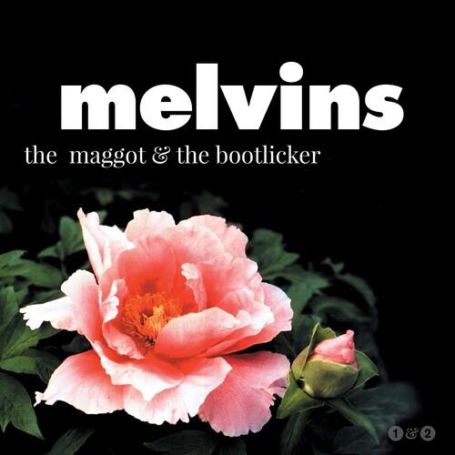 Maggot & The Bootlicker - Vinyl LP