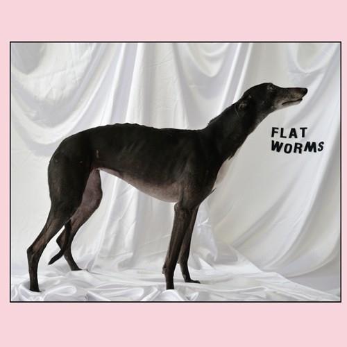 Flat Worms - Vinyl LP