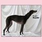 Flat Worms - Vinyl LP