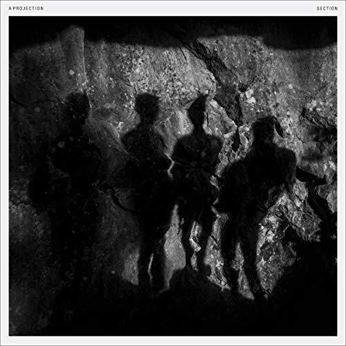 Section - Vinyl LP