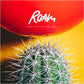 Great Heights & Nosedives - Vinyl LP (Yellow/Red)