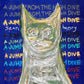 Jump From The High Dive - Vinyl LP