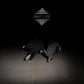 Past Life - Vinyl LP