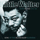 Hate To See You Go: King Of The Blues Harp Slingers - Vinyl LP