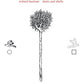 Dents And Shells - Vinyl LP