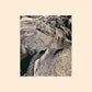 Shifts - Vinyl LP