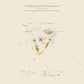 Mummer Love - Vinyl LP