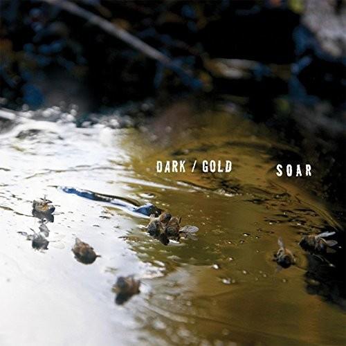 Dark / Gold - Vinyl LP