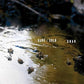 Dark / Gold - Vinyl LP