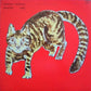Kakashi - Vinyl LP