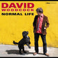 Normal Life - Vinyl LP 180 Gram