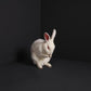 Rabbits - Vinyl LP