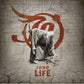 Life - Limited Edition Vinyl LP (Black)
