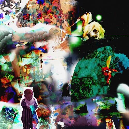 Distractions - Vinyl LP