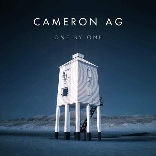 One By One - Vinyl LP