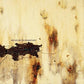 The Downward Spiral - Vinyl LP