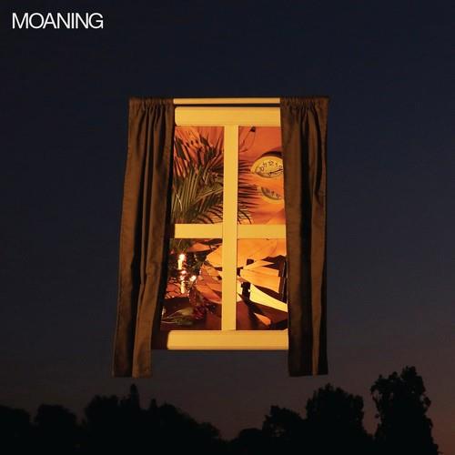 Moaning - Vinyl LP