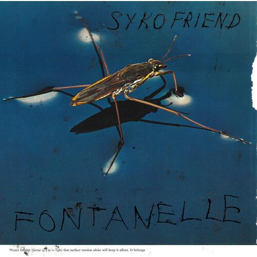 Fontanelle - Vinyl LP