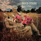 Beauty & Ruin - Vinyl LP