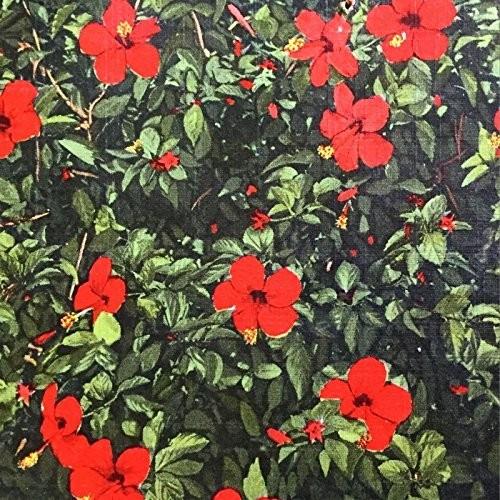 Denatured - Vinyl LP