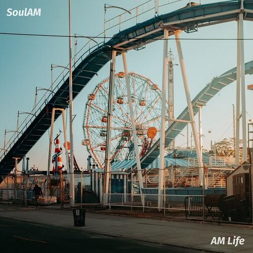 AM Life - Vinyl LP