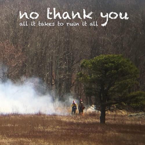 All It Takes To Ruin It All - Vinyl LP