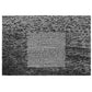 Grid Of Points - Vinyl LP