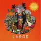 Large - Vinyl LP