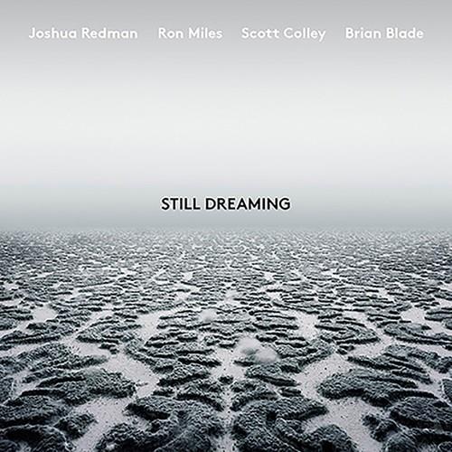 Still Dreaming - Vinyl LP
