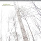 Wildwood (remastered) - Vinyl LP