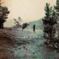 Agricultural Tragic - Limited Edition Vinyl LP 150 Gram