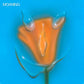 Uneasy Laughter - Vinyl LP