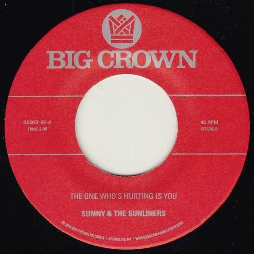 The One Who's Hurting You Is / Should I Take You Home - 7-Inch Single